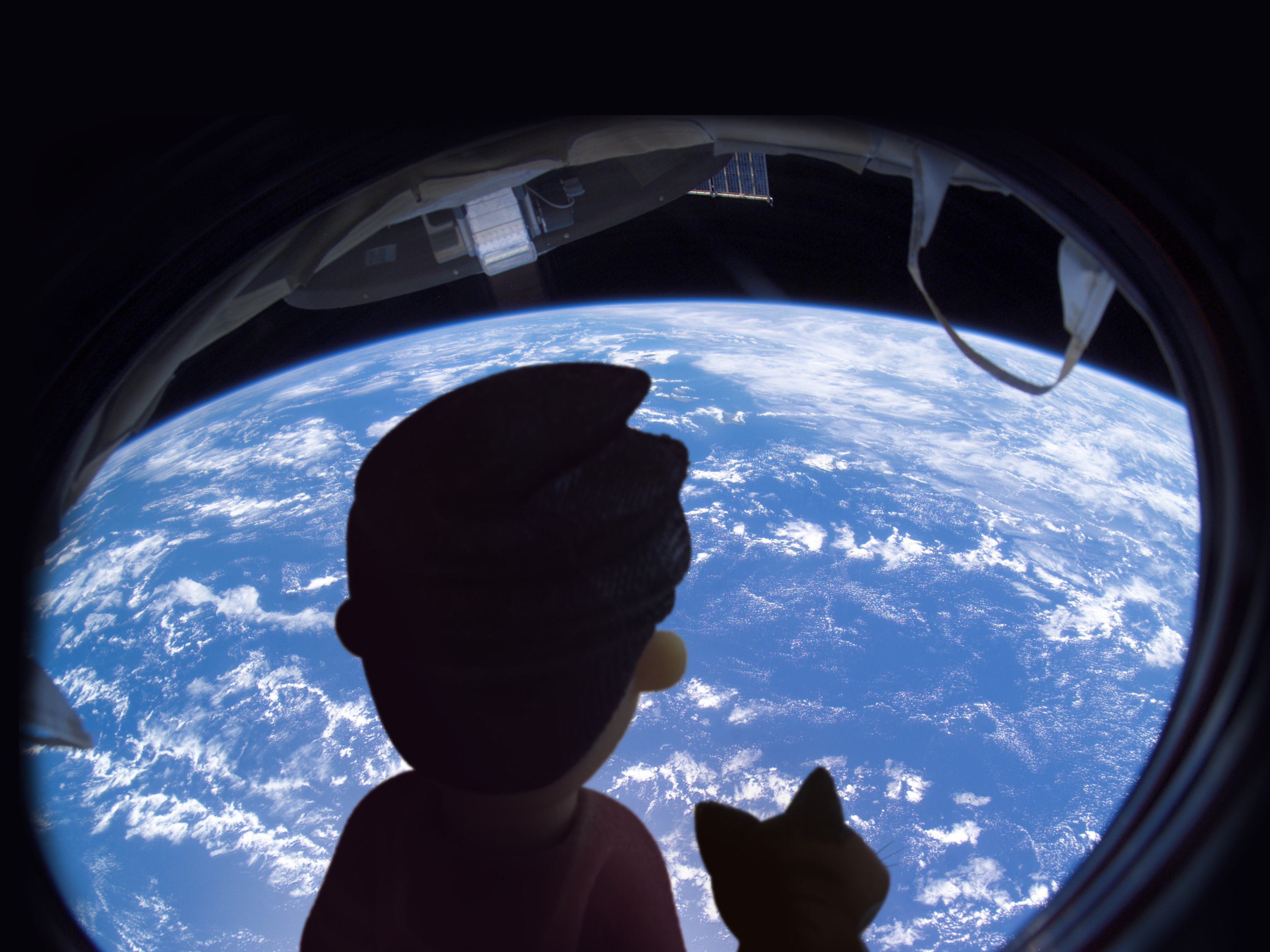 Little James and MiaKat look down at Earth from space